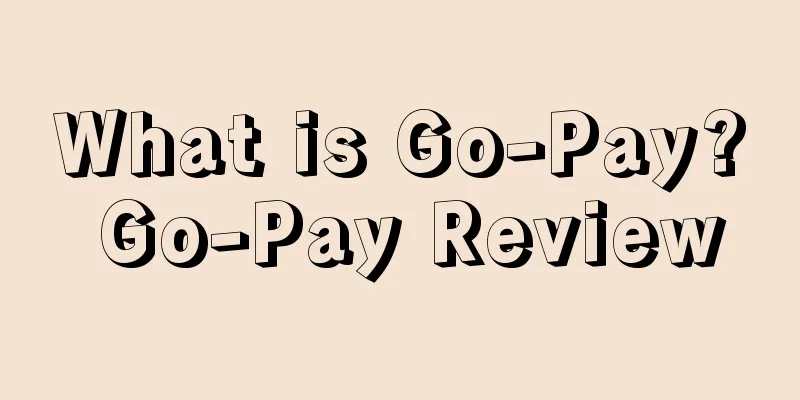 What is Go-Pay? Go-Pay Review