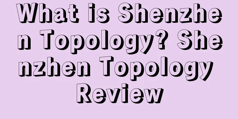 What is Shenzhen Topology? Shenzhen Topology Review