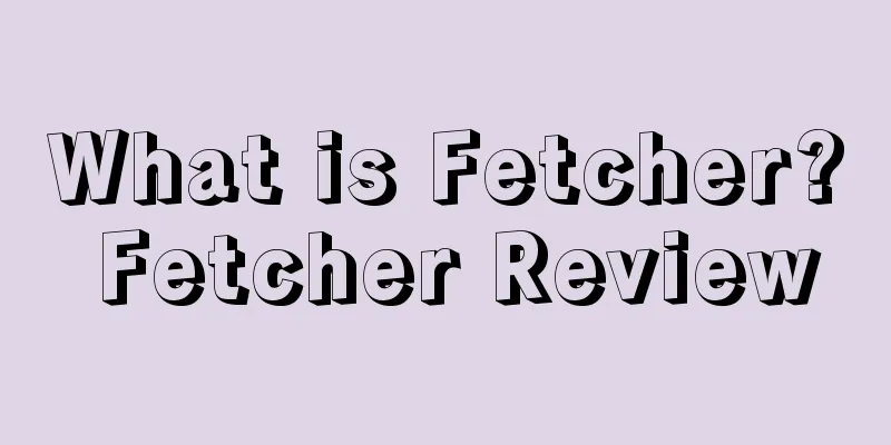What is Fetcher? Fetcher Review