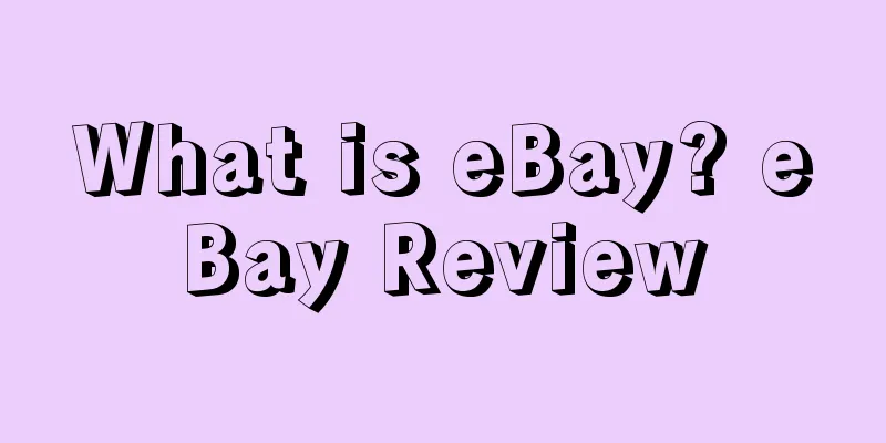 What is eBay? eBay Review