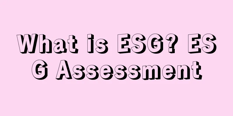 What is ESG? ESG Assessment