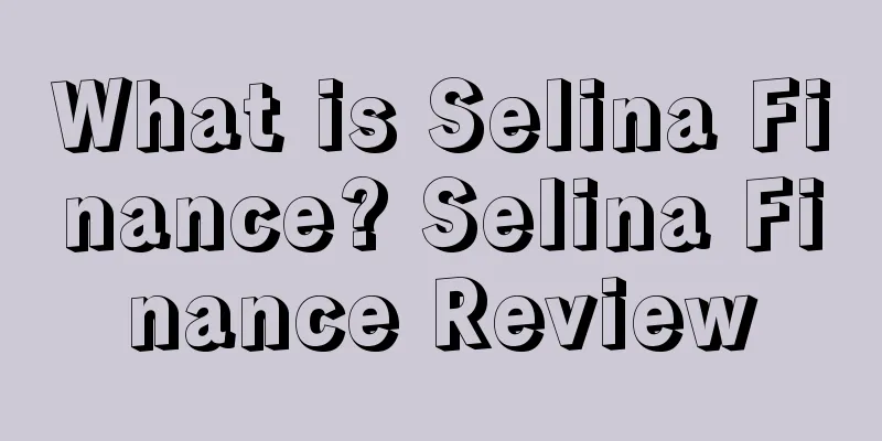 What is Selina Finance? Selina Finance Review