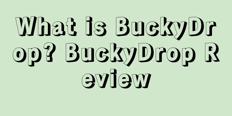 What is BuckyDrop? BuckyDrop Review