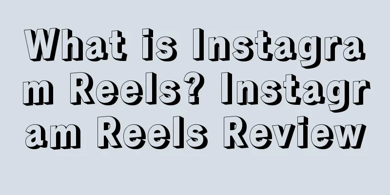 What is Instagram Reels? Instagram Reels Review