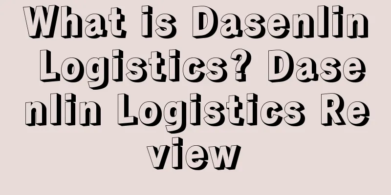 What is Dasenlin Logistics? Dasenlin Logistics Review