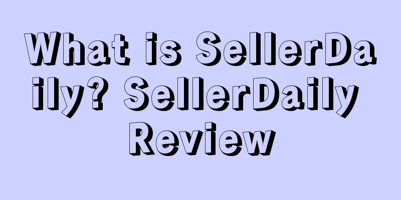 What is SellerDaily? SellerDaily Review