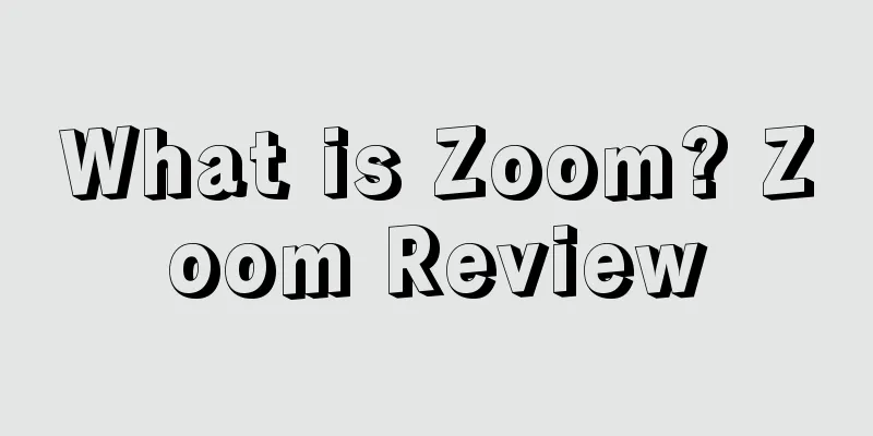 What is Zoom? Zoom Review