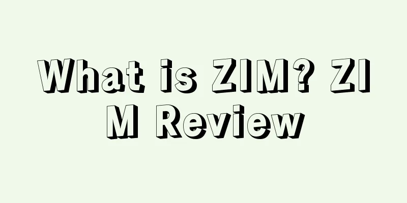 What is ZIM? ZIM Review