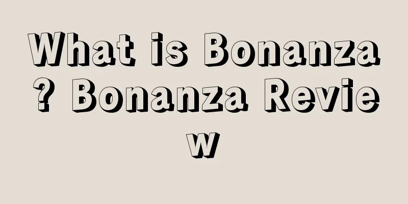 What is Bonanza? Bonanza Review