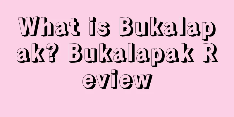 What is Bukalapak? Bukalapak Review