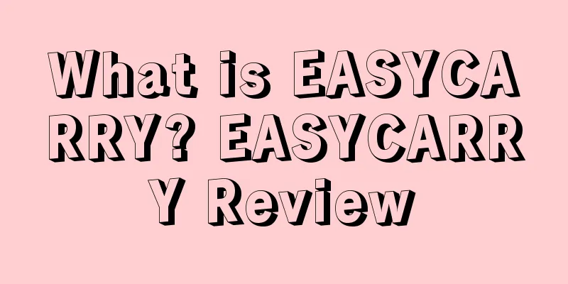 What is EASYCARRY? EASYCARRY Review