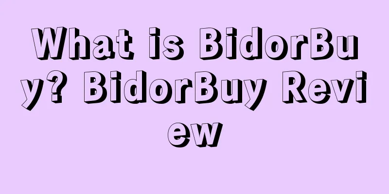 What is BidorBuy? BidorBuy Review