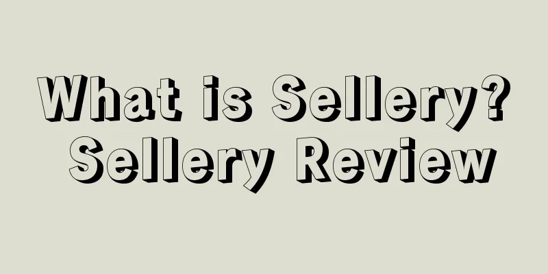 What is Sellery? Sellery Review