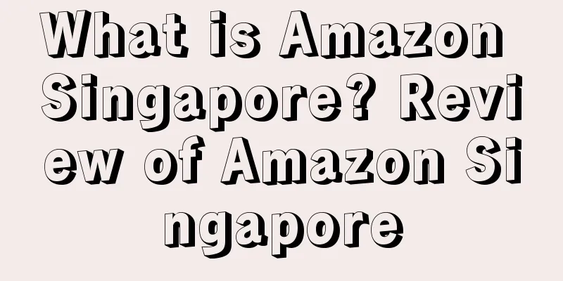 What is Amazon Singapore? Review of Amazon Singapore