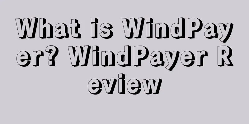 What is WindPayer? WindPayer Review
