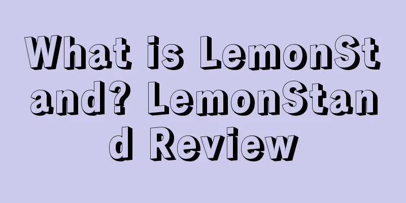 What is LemonStand? LemonStand Review