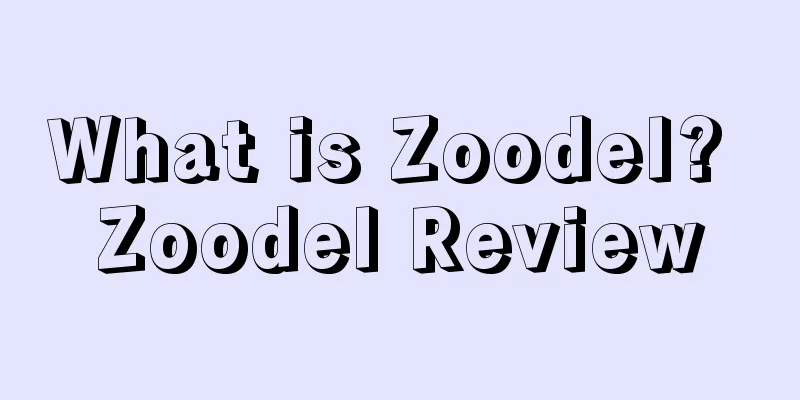 What is Zoodel? Zoodel Review