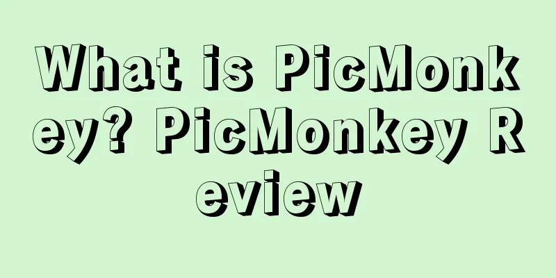 What is PicMonkey? PicMonkey Review