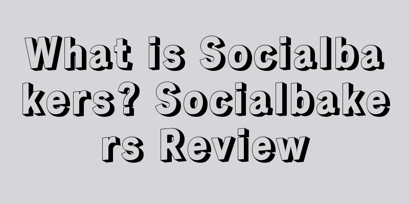 What is Socialbakers? Socialbakers Review