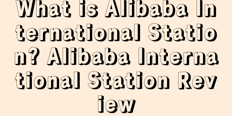 What is Alibaba International Station? Alibaba International Station Review