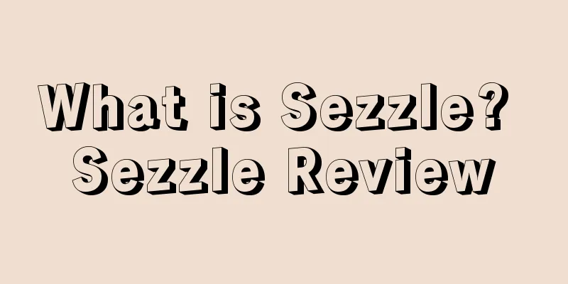 What is Sezzle? Sezzle Review