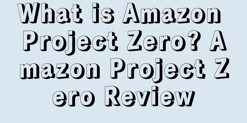 What is Amazon Project Zero? Amazon Project Zero Review