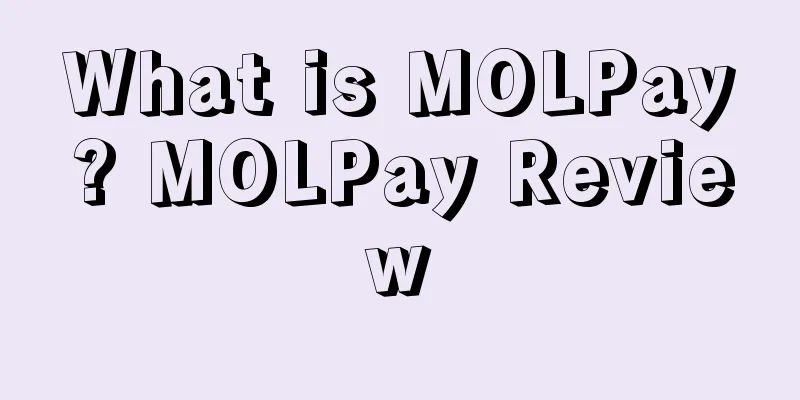 What is MOLPay? MOLPay Review