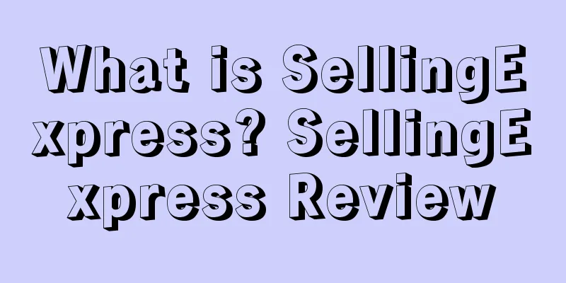 What is SellingExpress? SellingExpress Review