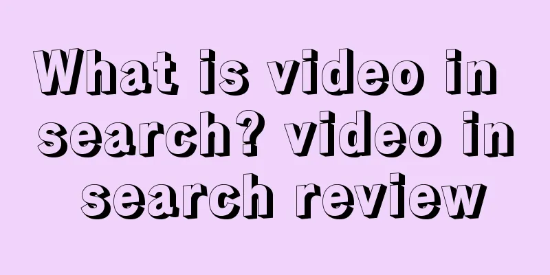 What is video in search? video in search review