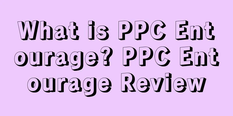 What is PPC Entourage? PPC Entourage Review