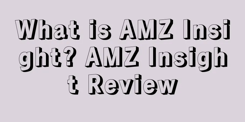What is AMZ Insight? AMZ Insight Review