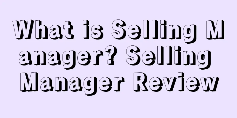 What is Selling Manager? Selling Manager Review