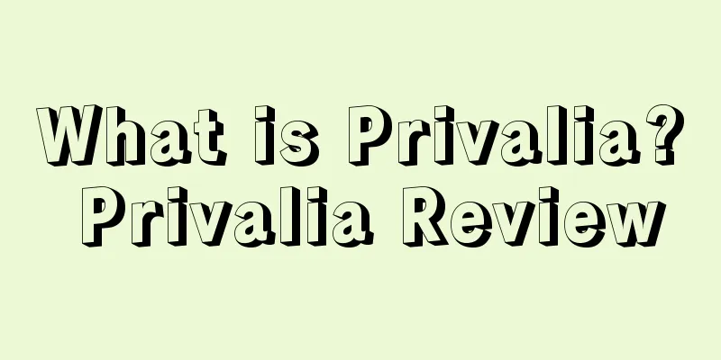 What is Privalia? Privalia Review