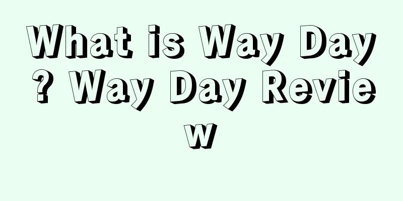 What is Way Day? Way Day Review