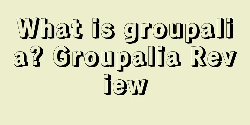 What is groupalia? Groupalia Review