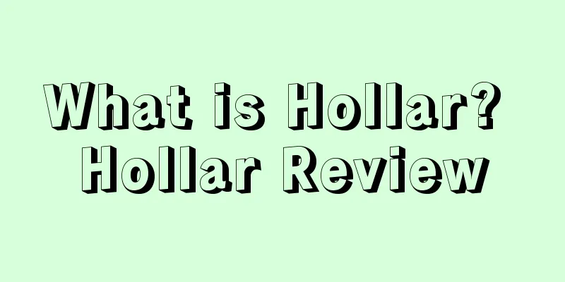 What is Hollar? Hollar Review