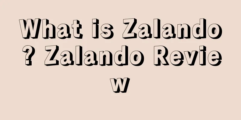 What is Zalando? Zalando Review