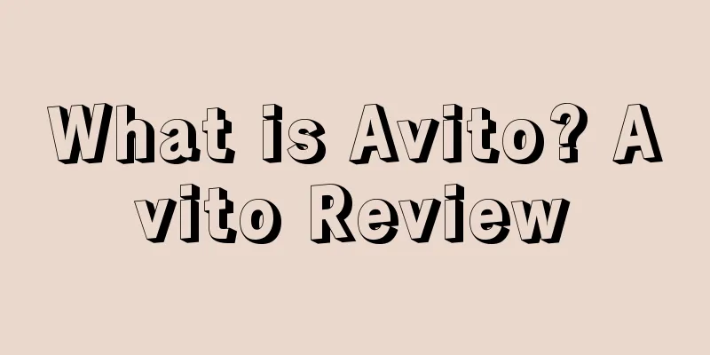 What is Avito? Avito Review