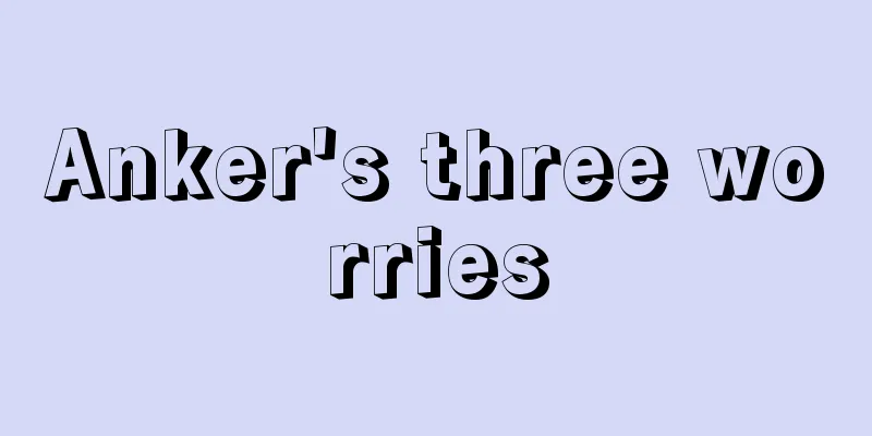 Anker's three worries