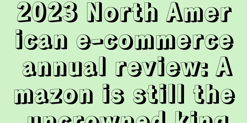 2023 North American e-commerce annual review: Amazon is still the uncrowned king