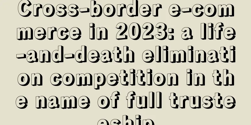 Cross-border e-commerce in 2023: a life-and-death elimination competition in the name of full trusteeship