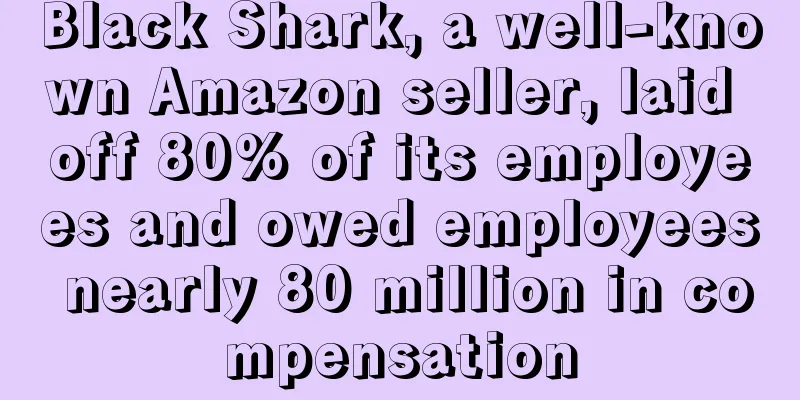 Black Shark, a well-known Amazon seller, laid off 80% of its employees and owed employees nearly 80 million in compensation