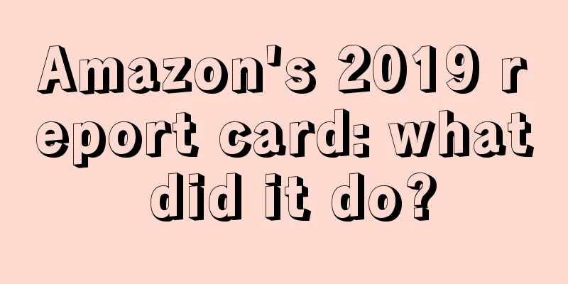 Amazon's 2019 report card: what did it do?