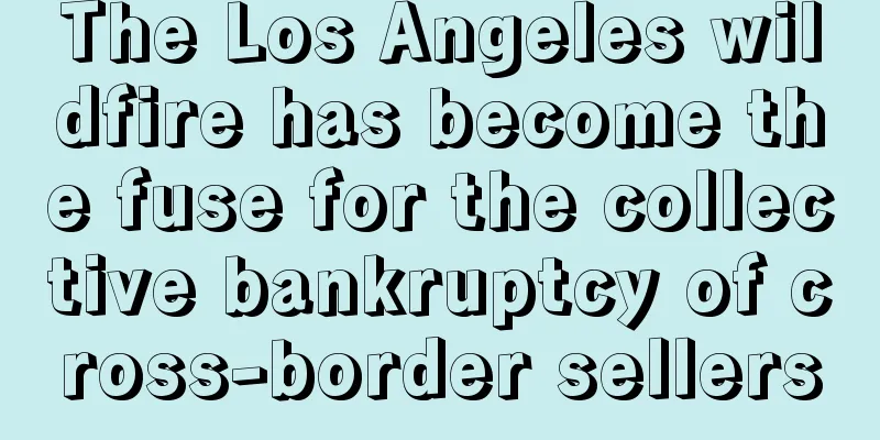 The Los Angeles wildfire has become the fuse for the collective bankruptcy of cross-border sellers