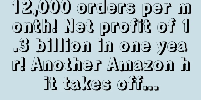 12,000 orders per month! Net profit of 1.3 billion in one year! Another Amazon hit takes off...