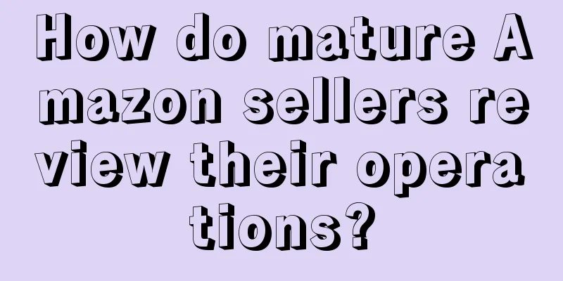 How do mature Amazon sellers review their operations?