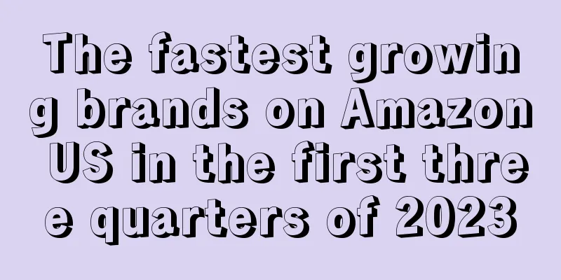 The fastest growing brands on Amazon US in the first three quarters of 2023