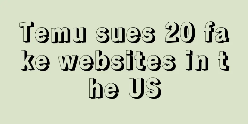 Temu sues 20 fake websites in the US