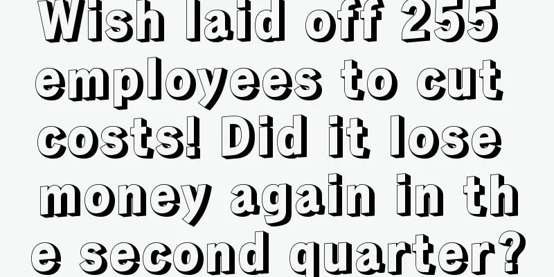 Wish laid off 255 employees to cut costs! Did it lose money again in the second quarter?