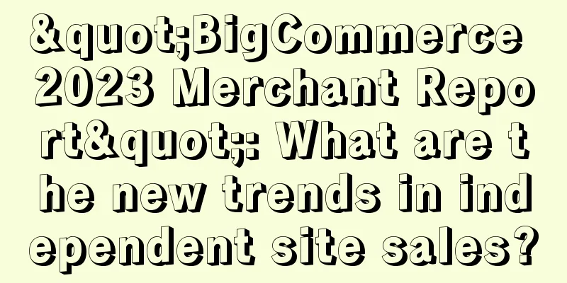 "BigCommerce 2023 Merchant Report": What are the new trends in independent site sales?